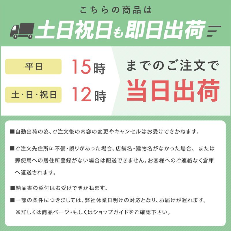 パイプベッド シングル ベッド フレーム 単品 頑丈 耐荷重200kg 2段階高さ調整 シングルベッド ベッド スチールベッド アイアン | 岩附 | 05