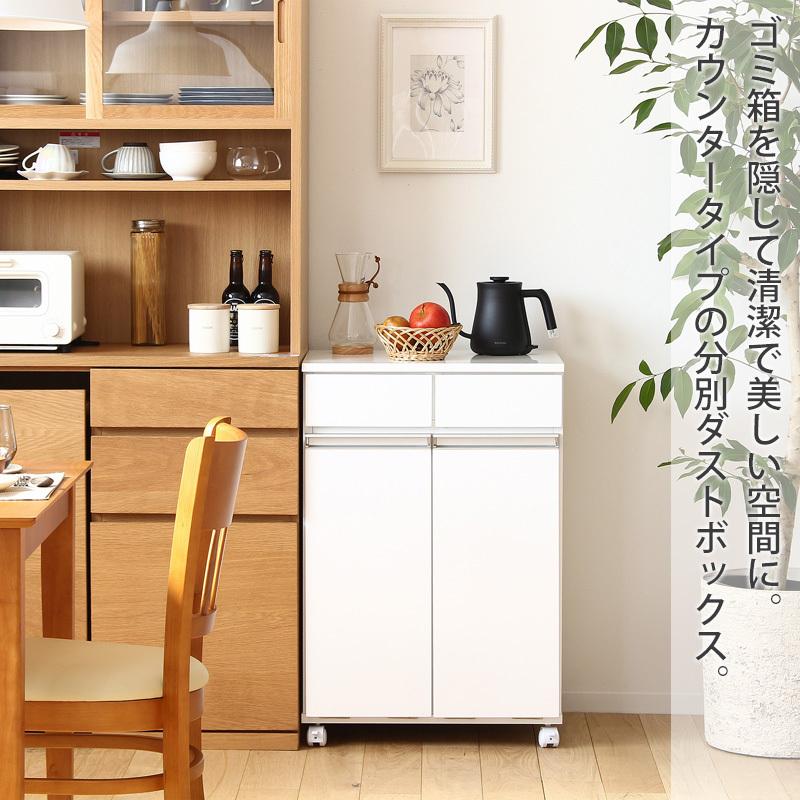 ダストボックス カウンター 2分別 ゴミ箱 ダイニング ダストボックス カウンター 2分別 ゴミ箱 ダイニング