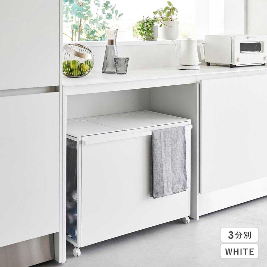 tower 蓋付き目隠し分別ダストワゴン 45L 2分別 タワー 山崎実業 分別