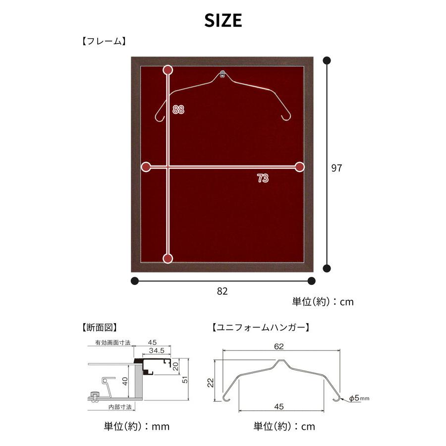 送料無料 ユニフォーム 額縁 Mサイズ ハンガー付き Tシャツケース コレクションケース 日本製 国産 展示 L203SP-Mの画像