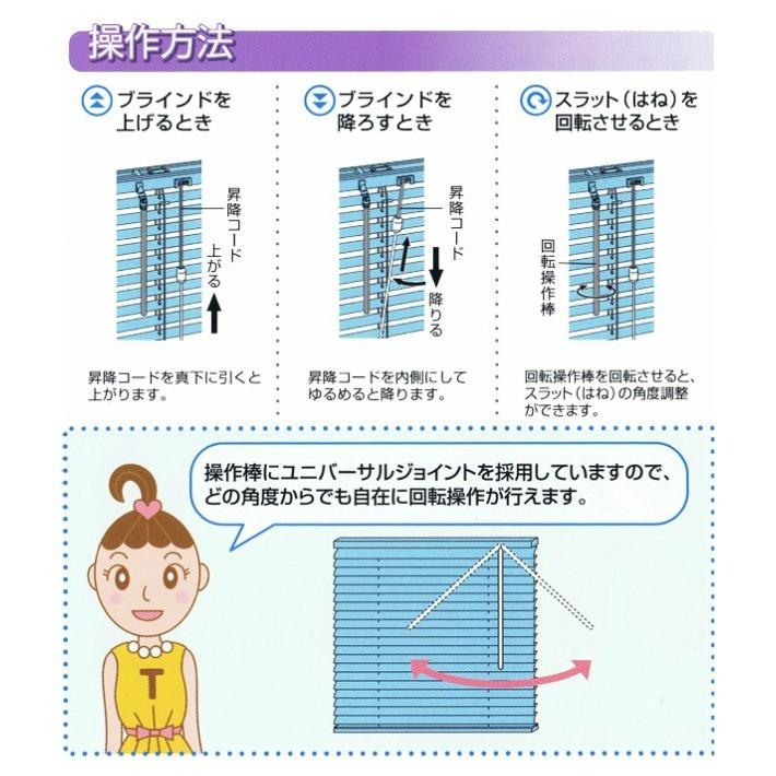 ブラインド トーソー TOSO 規格サイズ スポーラ 4色展開 幅60cm×高さ