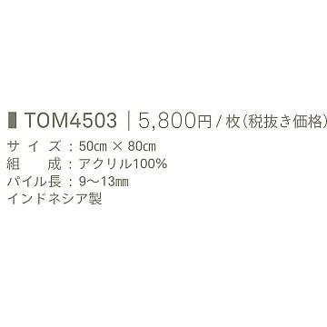 東リ洗える 玄関マット |  | 02