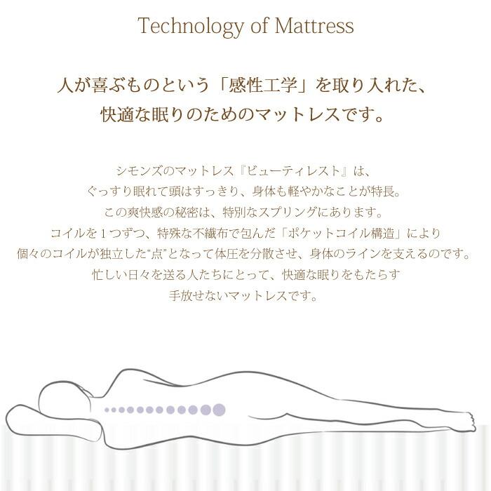 SIMMONS（シモンズ） 【開梱設置無料】【シモンズ正規代理店