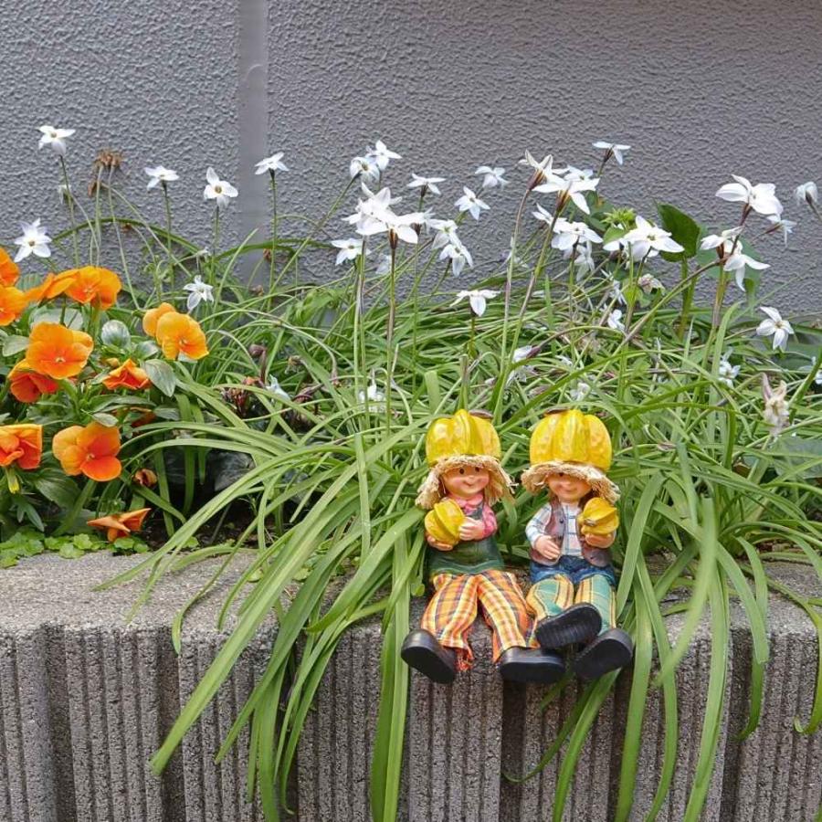 ガーデンオーナメント 置物 オブジェ 玄関 かわいい 妖精 人形 スター
