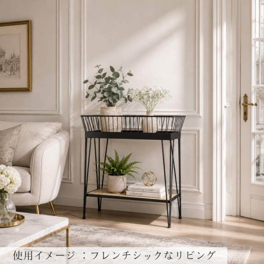 プランタースタンド アイアン インテリア 黒 フラワースタンド 2段