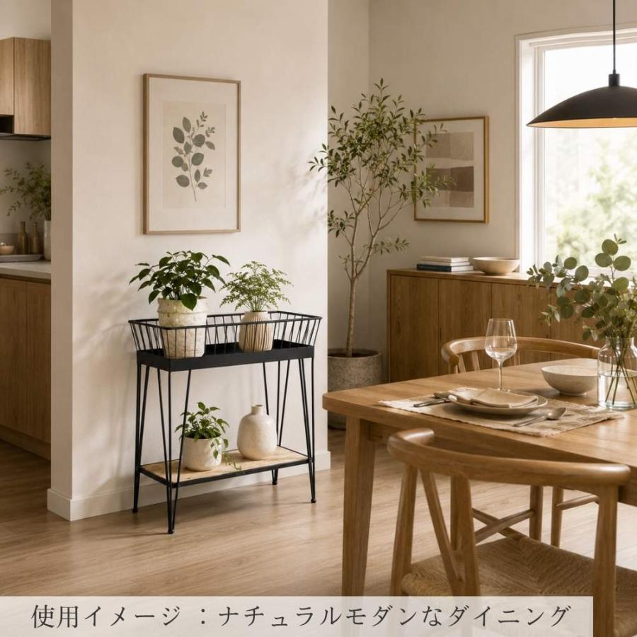 プランタースタンド アイアン インテリア 黒 フラワースタンド 2段