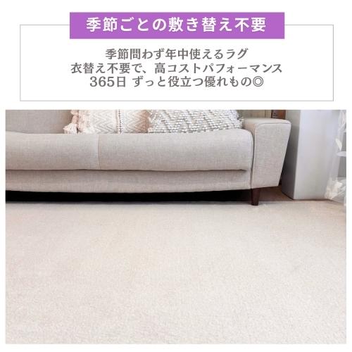 ペットに優しい 国産 ラグ カーペット 3畳 3帖 176×261cm 絨毯 多機能 敷き詰め 江戸間 年中使える ペット対応 防ダニ 消臭 アレルギー対策 日本製 無地 お洒落 |  | 10