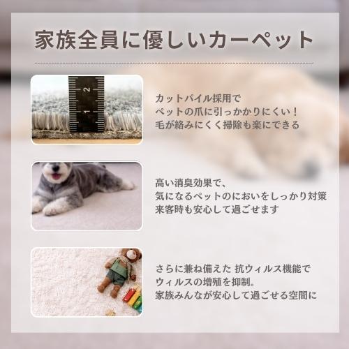 ペットに優しい 国産 ラグ カーペット 3畳 3帖 176×261cm 絨毯 多機能 敷き詰め 江戸間 年中使える ペット対応 防ダニ 消臭 アレルギー対策 日本製 無地 お洒落 |  | 12