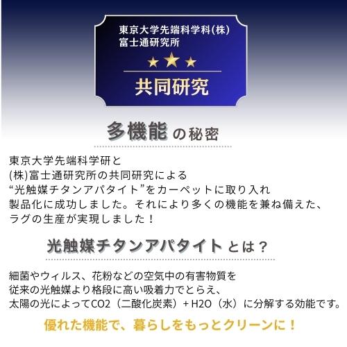 ペットに優しい 国産 ラグ カーペット 3畳 3帖 176×261cm 絨毯 多機能 敷き詰め 江戸間 年中使える ペット対応 防ダニ 消臭 アレルギー対策 日本製 無地 お洒落 |  | 14