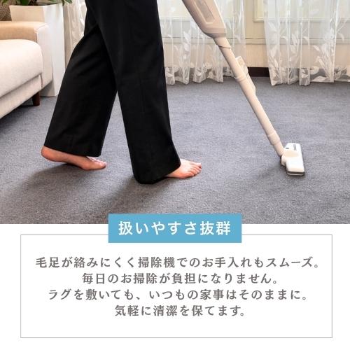 ペットに優しい 国産 ラグ カーペット 3畳 3帖 176×261cm 絨毯 多機能 敷き詰め 江戸間 年中使える ペット対応 防ダニ 消臭 アレルギー対策 日本製 無地 お洒落 |  | 08