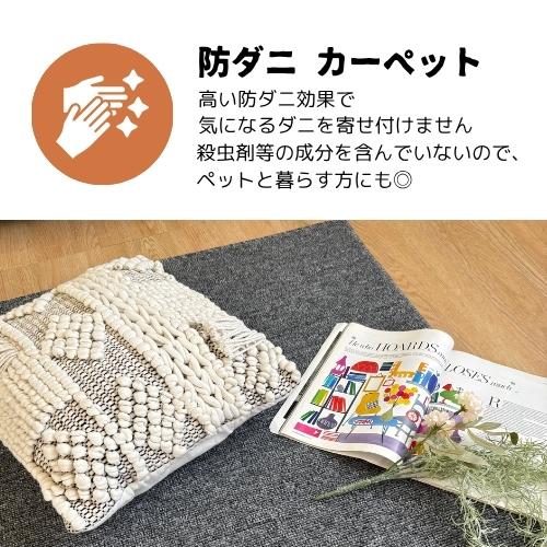 ラグ カーペット 防ダニ 国産 江戸間 2帖 2畳 176×176cm 抗菌 オール