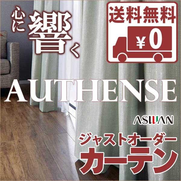 送料無料 カーテン シェード アスワン オーセンス Authense Urban Grace E6029 6031 プレーンシェード コード式 R61pc Tutores Com Br