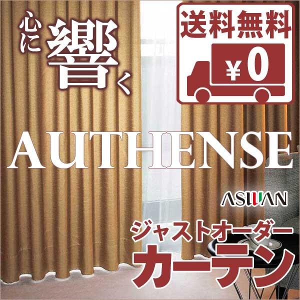 送料無料 カーテン シェード アスワン オーセンス Authense Shakou E6245 6250 スタイリッシュウェーブ縫製 約2倍ヒダ Pymr Go Th