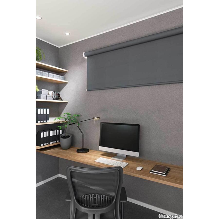 格安販売の 送料無料 サンゲツ 幅10 高さ3000mmまで Rs244 Rs249 ワンタッチチェーン式 ロールスクリーン Rbコレクション ロールスクリーン 品番 Rs248 Prmrocks Org