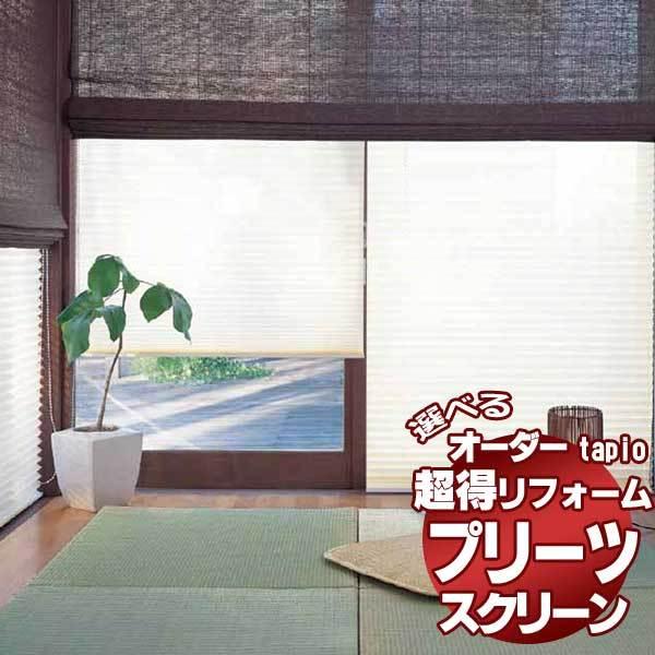 送料無料！立川機工 tapio タピオ プリーツスクリーン シースルー イアン TP-661〜664 ペアタイプ ワンチェーン式 Ｂ(レース)+C(厚地)