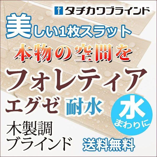 穴がない美しいスラットで高遮蔽・高遮光耐水・樹脂製ブラインド(フォレティアエグゼ チェーンアクア) 幅180×高さ140cmまで 穴がない美しいスラットで高遮蔽・高遮光耐水・樹脂製ブラインド