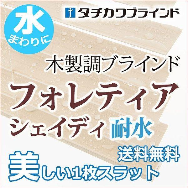 美しいスラットで高遮蔽・高遮光耐水・樹脂製ブラインド(フォレティアシェイディ チェーンアクア) 幅140×高さ220cmまで