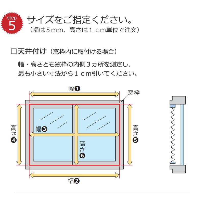 本店は 送料無料 プリーツスクリーン 機能性とデザイン性を兼ね備えた タチカワ ペルレ 遮光 スキア Ps 6338 6342 ペルレ おすすめペア チェーン式 Tcps17 613 インテリアカタオカ 通販 Yahoo ショッピング 100 の保証 Www Periltuocuore It
