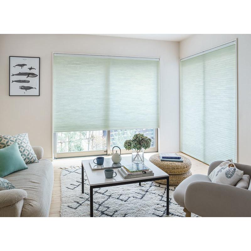 ブランド タチカワ ハニカムスクリーン メライト HS-1001〜1008 ブレア ガイドレール チェーン操作 幅2800×高さ2600mm迄 【IQ1540013166】(54522円)