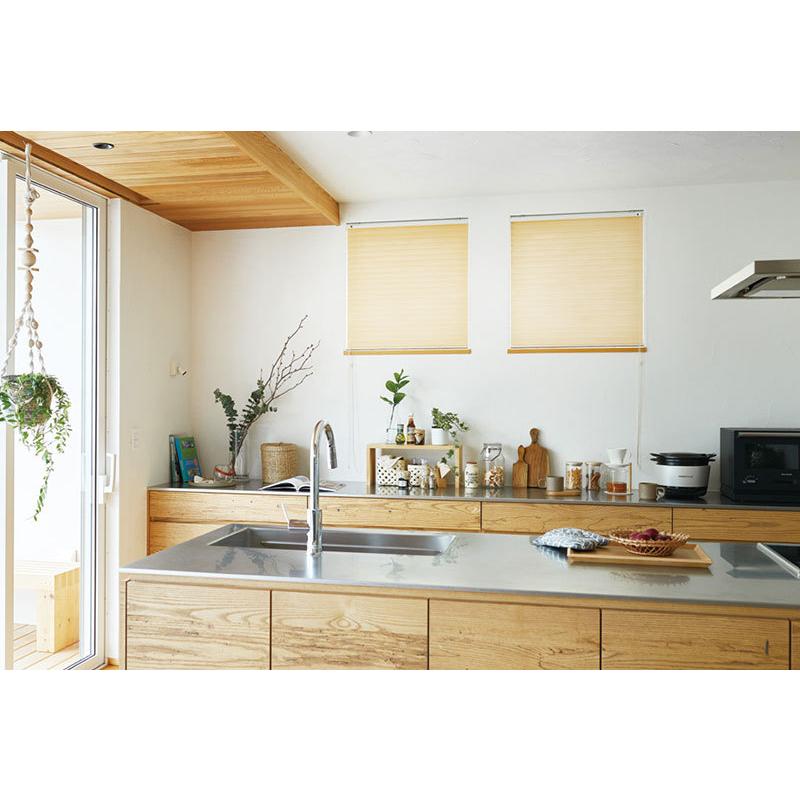 ブランド タチカワ ハニカムスクリーン メライト HS-1001〜1008 ブレア ガイドレール チェーン操作 幅2800×高さ2600mm迄 【IQ1540013166】(54522円)