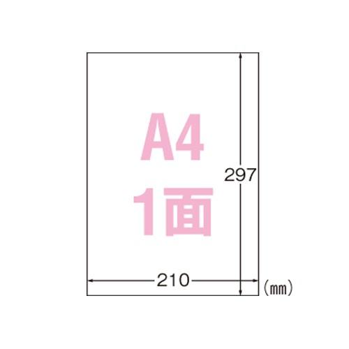 エーワン 屋外でも使えるサインラベルシール 艶消し 31040 1P