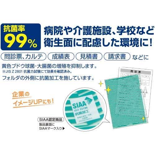 ヒサゴ 抗菌トリック！クリアフォルダA4グリーン OP2461 1冊 |  | 04