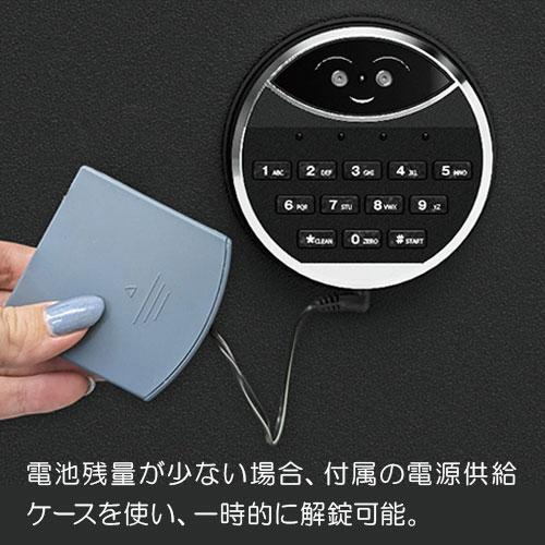 エーコー 大型耐火金庫 マイナンバーセーフ 顔認証ロック式 CSG-91FS |  | 01