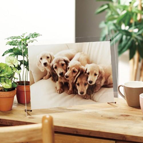 クラウン パンフレット立 B5判 CR-PF71-T 1個 |  | 01