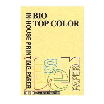 伊東屋 バイオトップカラー A4（100枚入） BT103 1Ｐ． | 