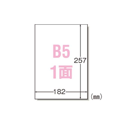 エーワン マルチプリンタラベル B5ノーカット 28421 1P． : イーヅカ