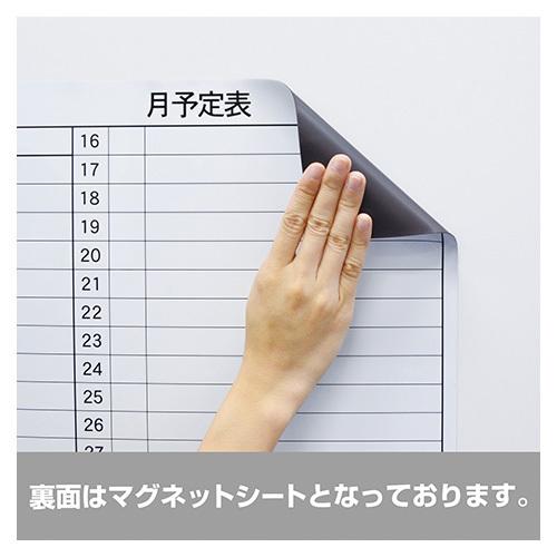 マグエックス マグネットスケジュールシート90120月 MSVP-90120M 1枚 |  | 04