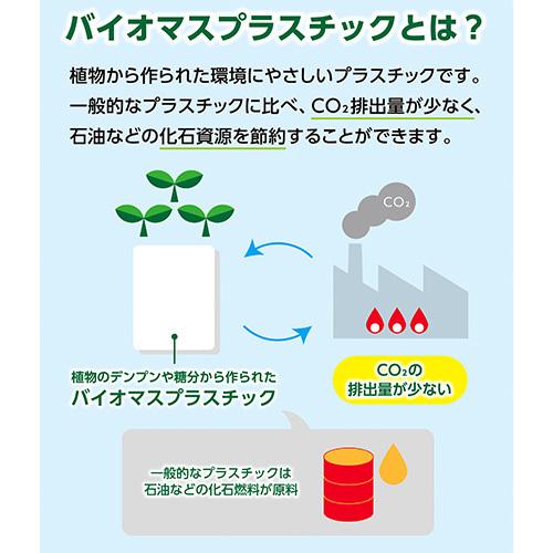 ぺんてる パスティック12色バイオマス GC2-12 1ＳＴ |  | 03