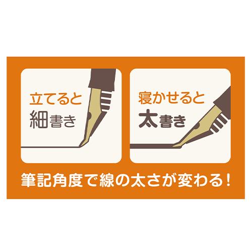 セーラー万年筆 ふでＤＥまんねんパック 若竹 12-0150-067 |  | 03