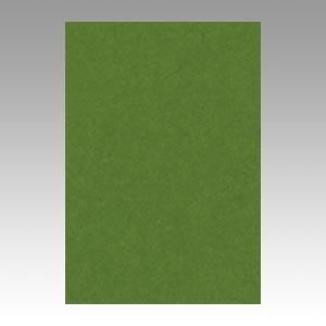 リンテック ニューカラー 8切 100枚 オリーブ GO8NCR-316 1束 | 