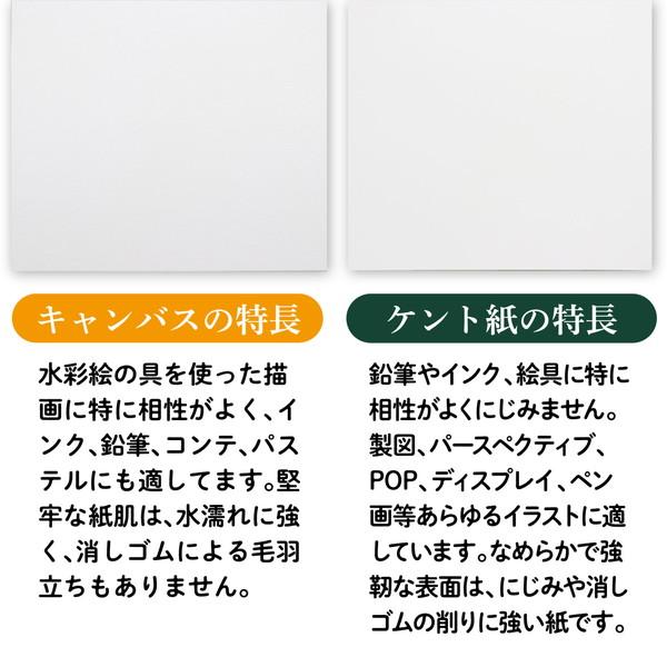 アーテック A＆Bオリジナルアートボード B3キャンバス 143300