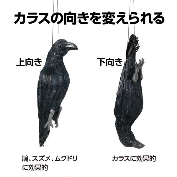 アーテック 防鳥用吊り下げカラス 36515 : イーヅカ - 通販 - Yahoo