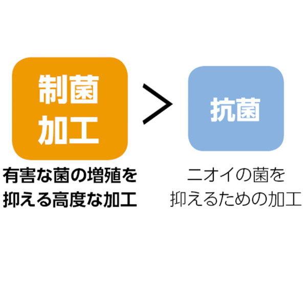 アーテック 制菌マット 60×80cm 51730 : イーヅカ - 通販 アーテック 制菌マット 60×80cm 51730 : イーヅカ - 通販