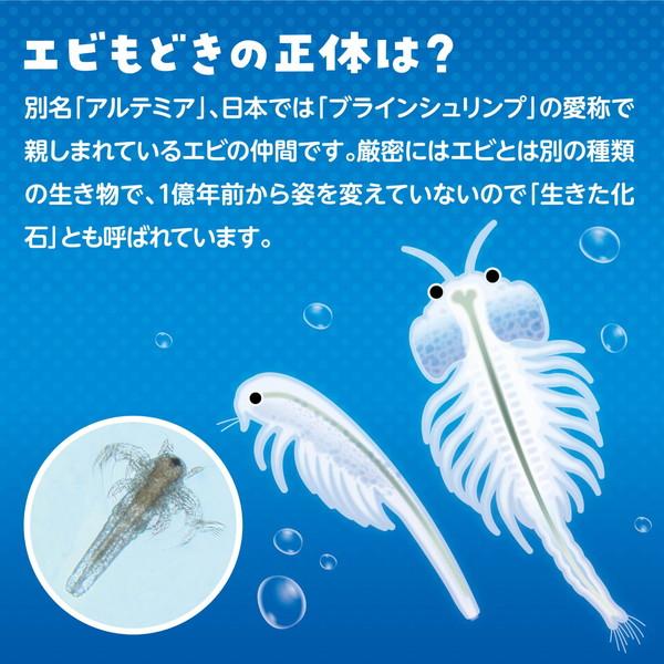 アーテック 簡単！育てるエビモドキ 55943 : イーヅカ - 通販 - Yahoo