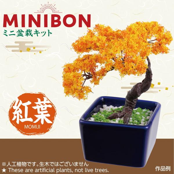 アーテック ミニ盆栽キット MINIBON 紅葉 92364 : イーヅカ