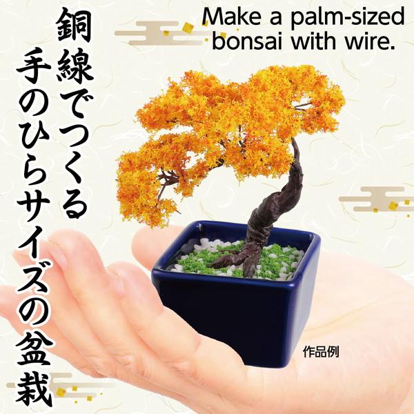 アーテック ミニ盆栽キット MINIBON 紅葉 92364 : イーヅカ