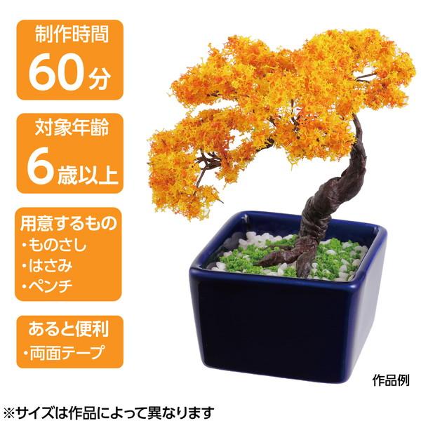 アーテック ミニ盆栽キット MINIBON 紅葉 92364 : イーヅカ