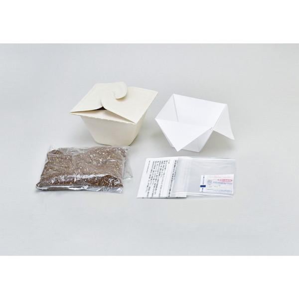 聖新陶芸 バガスグリーン レタス 93232 |  | 02