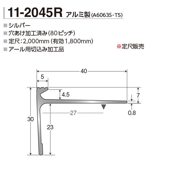 アシスト ノンスリップ アシステップ アルミ製 11-2045R 穴有 2m