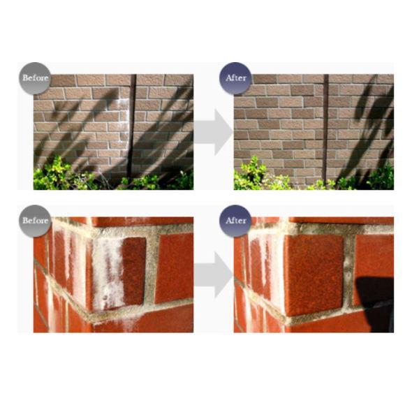 ビアンコジャパン エフロクリーナー 20kg キュービテナー入り ES-101 |  | 01