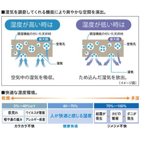 大建 ダイロートン 健康快適天井材 クリアトーン12S2 ラインアート 12mm厚 303×606mm 18枚(3.3平米) TA9402｜interiortool｜04