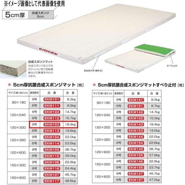 EVERNEW - エバニュー 5珊厚 抗菌組みあわせる 海綿質引っ敷き EKM103 幅120×長300珊 9号キャンヴァス スポーツ-体育器具、用品