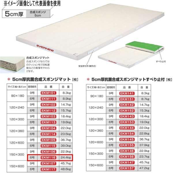 エバニュー 5cm厚 抗菌合成 スポンジマット EKM116 幅150×長300cm 6号帆布