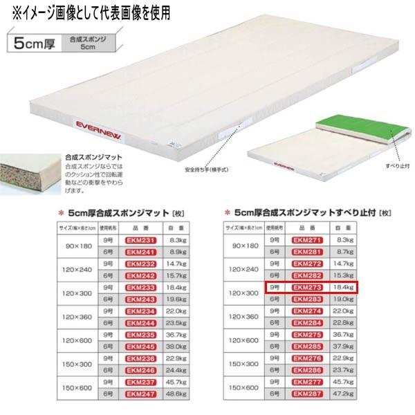 EVERNEW - エバニュー 5珊厚組みあわせる海綿質引っ敷きすべり止付 EKM273 幅120×長300珊 9号キャンヴァス スポーツ-体育器具、用品-体育マット、シート