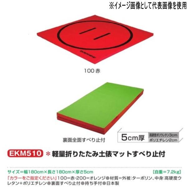 エバニュー 軽量折りたたみ土俵マットすべり止付 EKM510 幅180×長180cm 厚5cm
