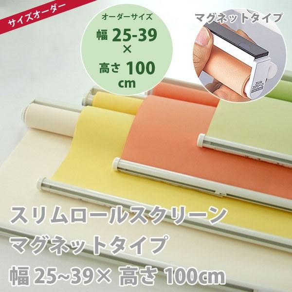 スリムロールスクリーン マグネットタイプ 幅25〜39 × 高さ100cm オーダー品 全4色 どれか1つ